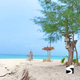 เที่ยวเกาะราบ - เกาะแห่งความน่าหลงใหล