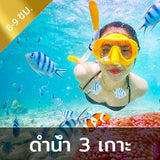 One Day Trip ดำน้ำ 3 เกาะ (เกาะเต่า - เกาะนางยวน - เกาะพะงัน)