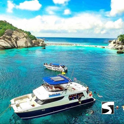 แพคเกจทัวร์ ดำน้ำเกาะเต่า - เกาะนางยวน (ทริปเต็มวัน)