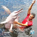 ทัวร์ล่องเรือชมปลาโลมาสีชมพู เกาะสมุย - ทะเลอ่าวขนอม จอยทัวร์แบบครึ่งวัน