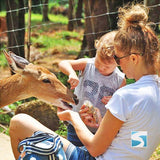 สวนนกพาราไดซ์ พาร์ค ฟาร์ม  สวรรค์แห่งความสุข