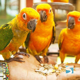 สวนนกพาราไดซ์ พาร์ค ฟาร์ม  สวรรค์แห่งความสุข