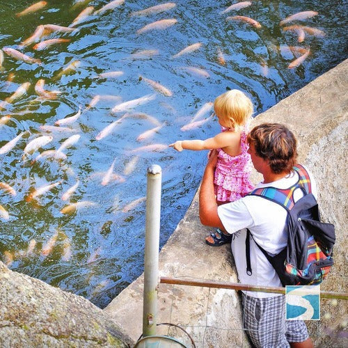 สวนนกพาราไดซ์ พาร์ค ฟาร์ม  สวรรค์แห่งความสุข