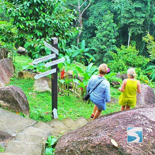 สวนนกพาราไดซ์ พาร์ค ฟาร์ม  สวรรค์แห่งความสุข