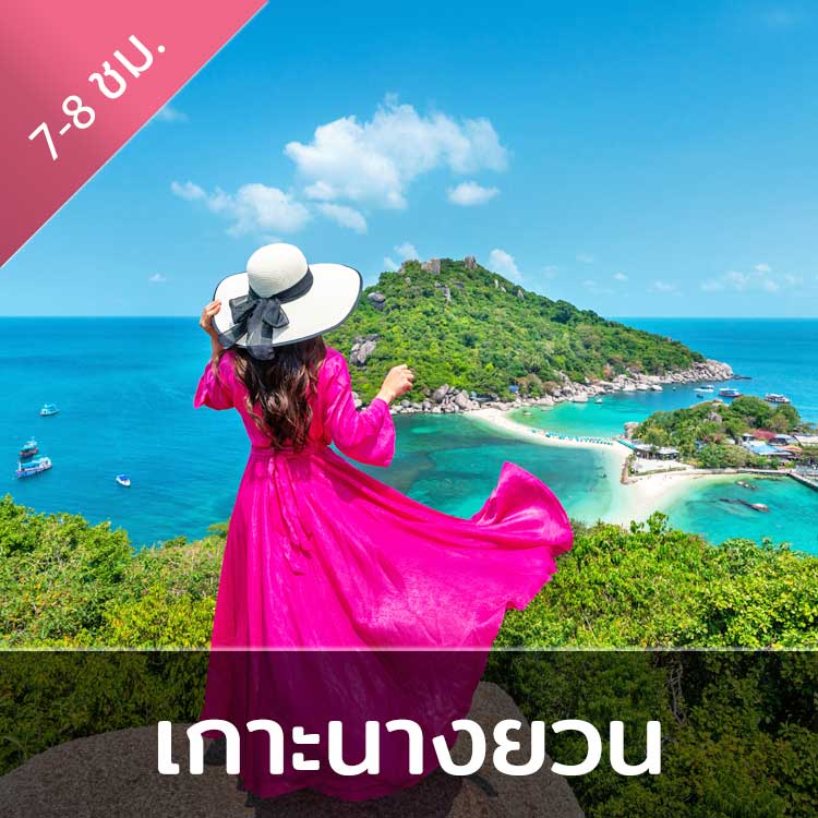 แพคเกจทัวร์ ดำน้ำเกาะเต่า - เกาะนางยวน (ทริปเต็มวัน)