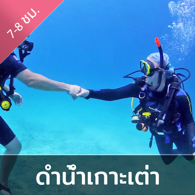 กิจกรรมดำน้ำเกาะเต่า - หลักสูตรเรียนดำน้ำลึกเพื่อเปิดประสบการณ์