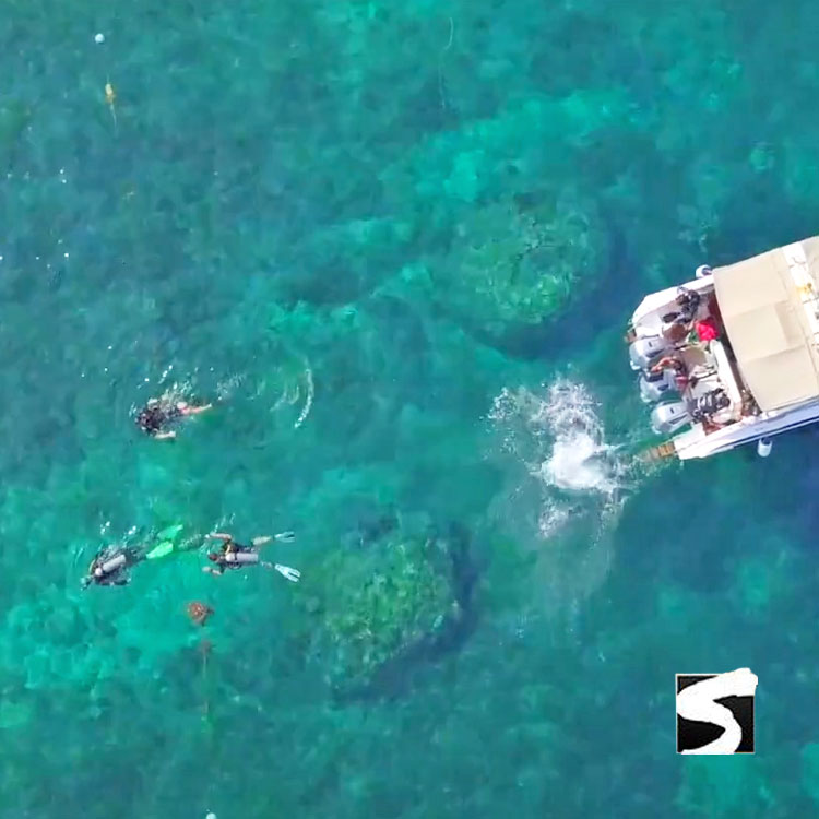 กิจกรรมดำน้ำเกาะเต่า - หลักสูตรเรียนดำน้ำลึกเพื่อเปิดประสบการณ์