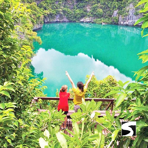 โปรแกรมล่องเรือเที่ยวอุทยานแห่งชาติหมู่เกาะอ่างทอง & ชมปลาโลมาสีชมพู โดยเรือสปีดโบ๊ท
