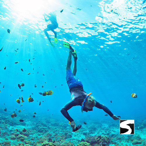 โปรแกรมล่องเรือเที่ยวอุทยานแห่งชาติหมู่เกาะอ่างทอง & ชมปลาโลมาสีชมพู โดยเรือสปีดโบ๊ท