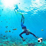 โปรแกรมล่องเรือเที่ยวอุทยานแห่งชาติหมู่เกาะอ่างทอง & ชมปลาโลมาสีชมพู โดยเรือสปีดโบ๊ท