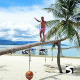 ทัวร์ดำน้ำตื้นเกาะแตน เกาะมัดสุม (เกาะหมู) โดยเรือสปีดโบ๊ท ทริปจอยราคาประหยัด