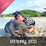 ทัวร์ดำน้ำตื้นเกาะแตน เกาะมัดสุม หรือ เกาะหมู โดยเรือสปีดโบ๊ท ทริปจอยราคาประหยัด