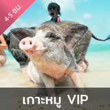 ทัวร์เกาะแตน & เกาะมัดสุม หรือ เกาะหมู ดำน้ำตื้น โดยเรือสปีดโบ๊ท แบบวีไอพี