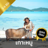 ทริปดำน้ำตื้นแบบส่วนตัว เรือหางยาวเหมาลำ เกาะแตน – เกาะมัดสุม หรือ เกาะหมู