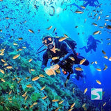 กิจกรรมดำน้ำเกาะเต่า - หลักสูตรเรียนดำน้ำลึกเพื่อเปิดประสบการณ์