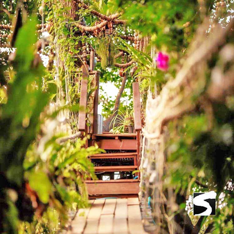 ซิปไลน์ (Zip line) สะพานต้นไม้คาเฟ่ เกาะสมุย