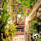 ซิปไลน์ (Zip line) สะพานต้นไม้คาเฟ่ เกาะสมุย