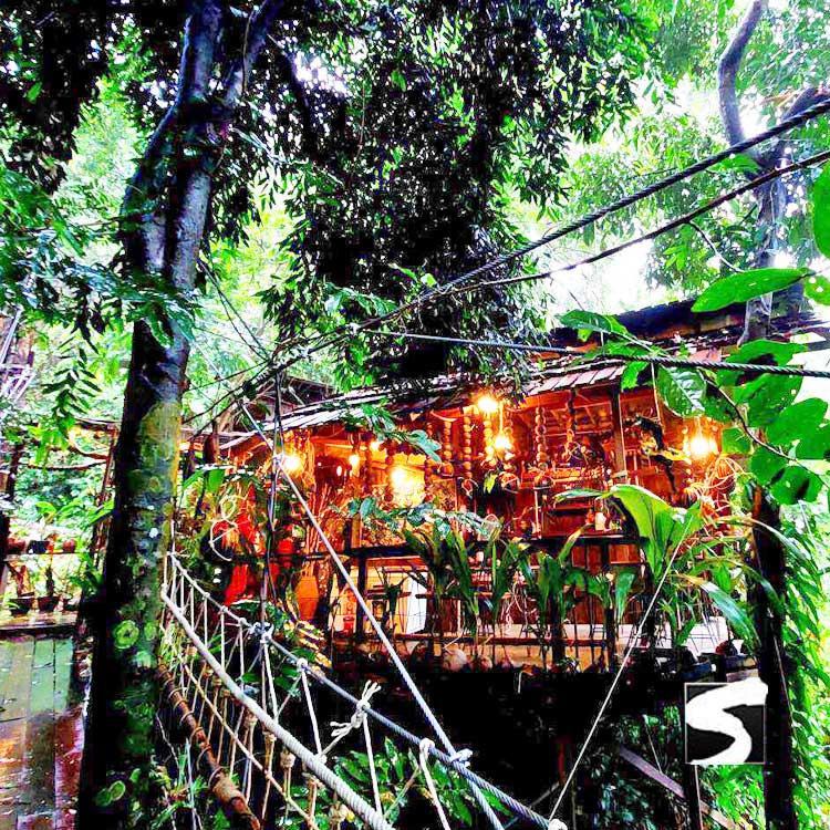 ซิปไลน์ (Zip line) สะพานต้นไม้คาเฟ่ เกาะสมุย