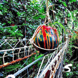 ซิปไลน์ (Zip line) สะพานต้นไม้คาเฟ่ เกาะสมุย