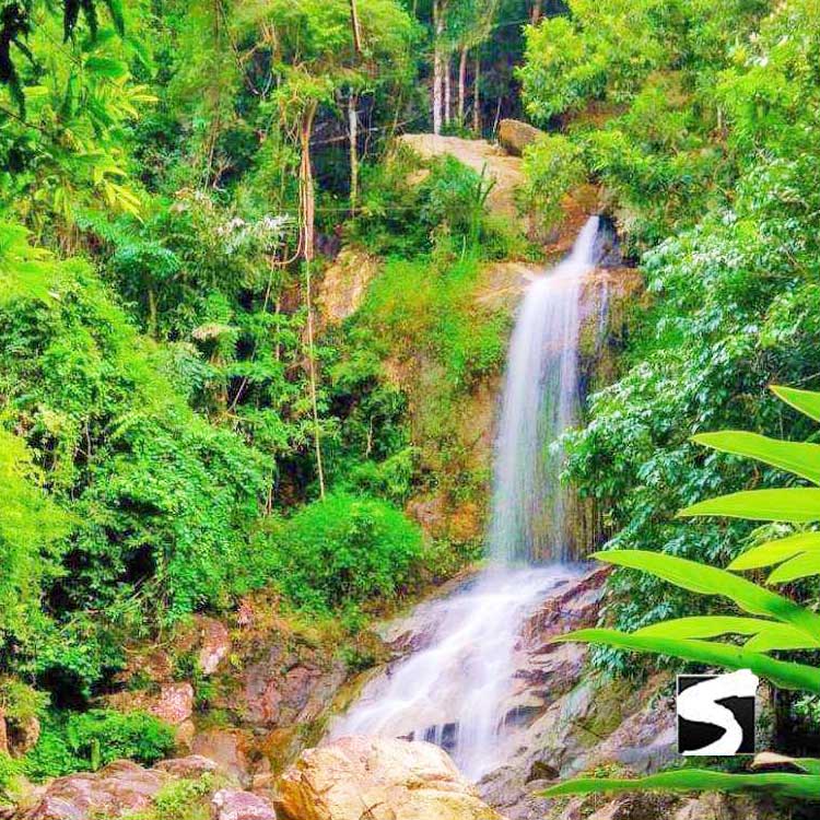 ซิปไลน์ (Zip line) สะพานต้นไม้คาเฟ่ เกาะสมุย