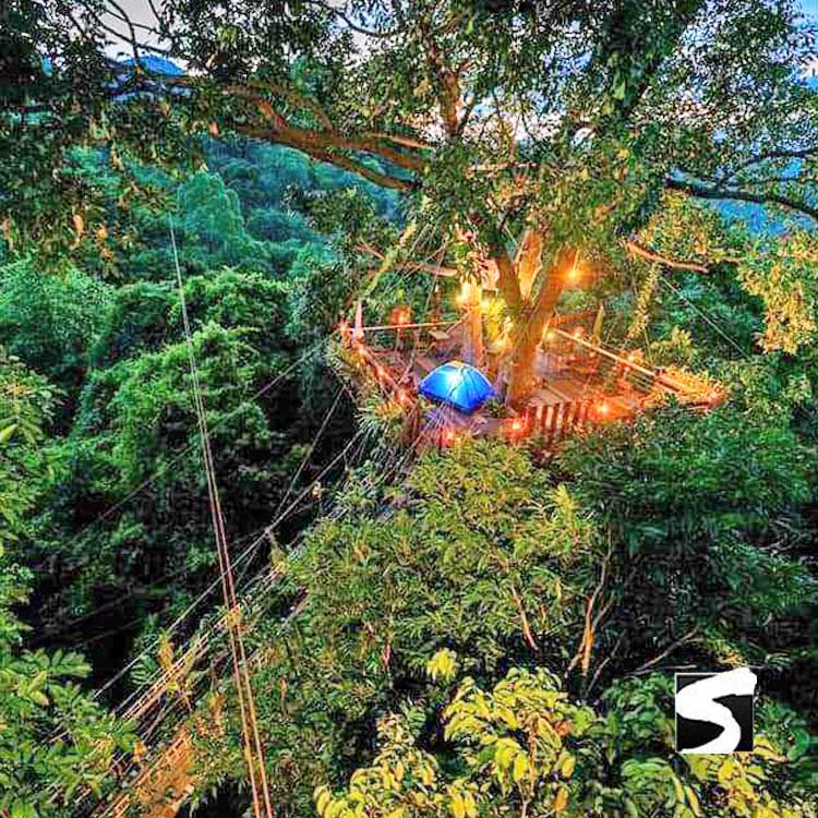 ซิปไลน์ (Zip line) สะพานต้นไม้คาเฟ่ เกาะสมุย