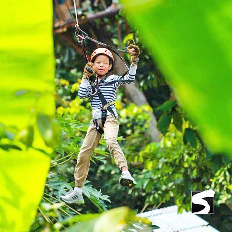 ซิปไลน์ (Zip line) สะพานต้นไม้คาเฟ่ เกาะสมุย