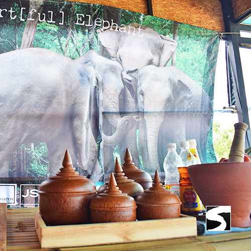 กิจกรรมเลี้ยงช้างครึ่งวัน ณ สวรรค์ช้างสมุย ศูนย์อนุรักษ์ช้างไทยเกาะสมุย